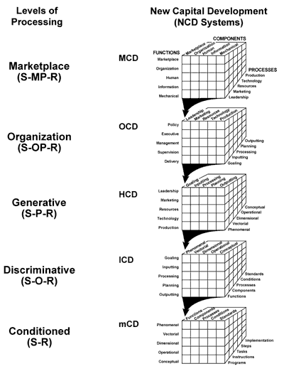 The Productive Organization